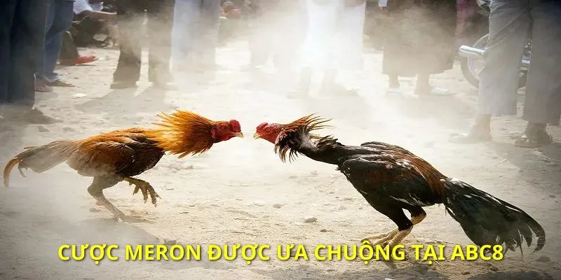 Meron là loại hình cược đơn giản và được yêu thích